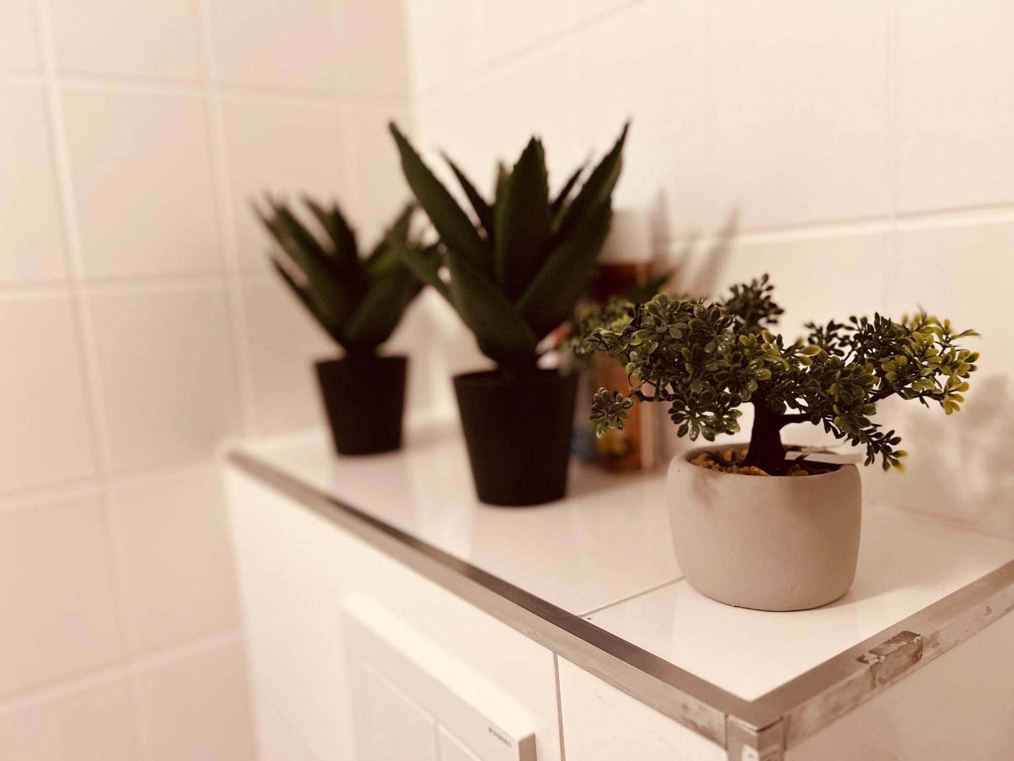 Cologne Luxe Living: Opulent Elegance Unleashed Lejlighed Eksteriør billede